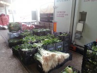 /album/fotogkaleri/a215833-281727378627637-1280457961-n-jpg1/