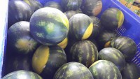 /album/fotogkaleri/a11295942-670920113041693-8885258933707708955-n-jpg1/